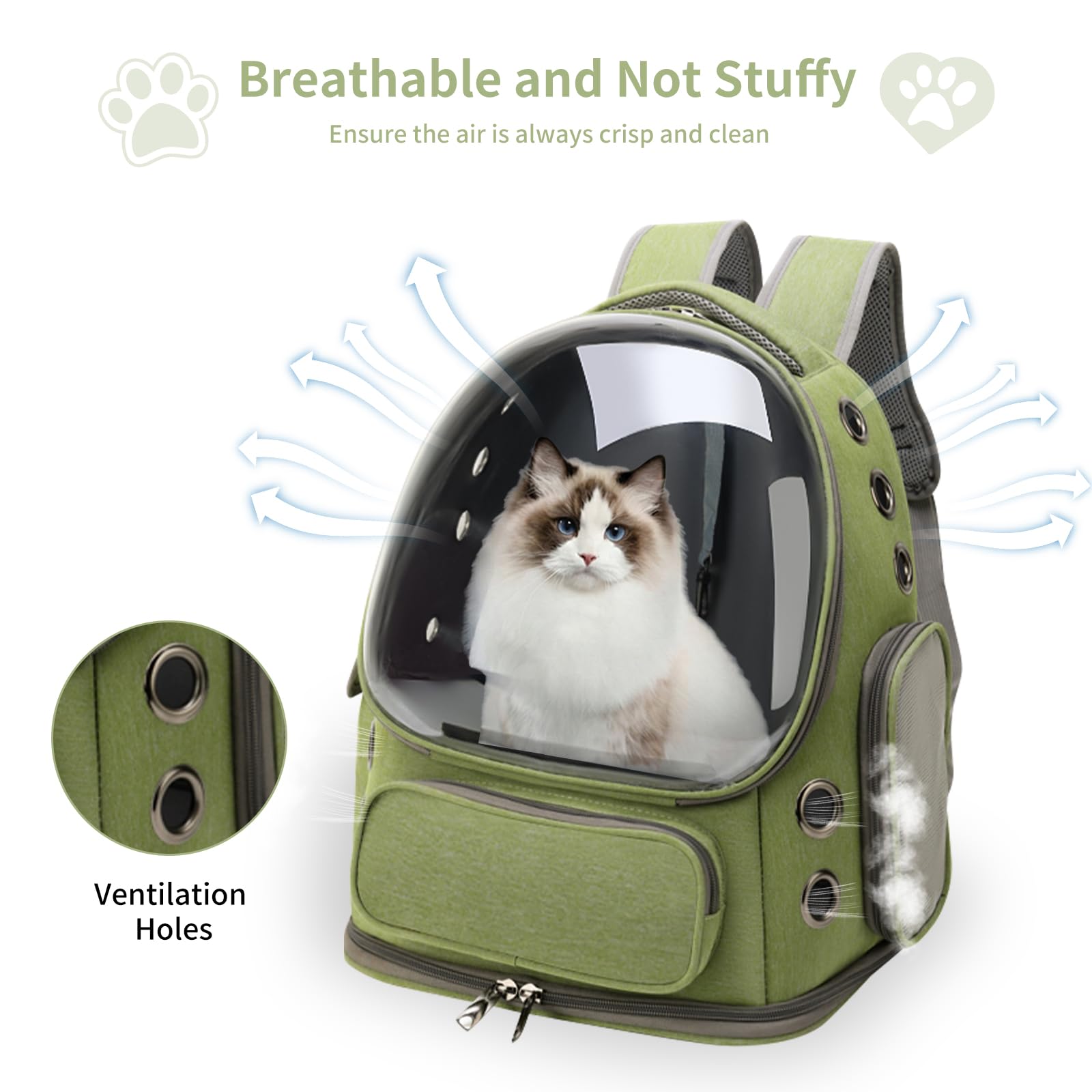 Katzen-Rucksack-Transportbox,  – Foldable Backpack Small Bewertung und Preis